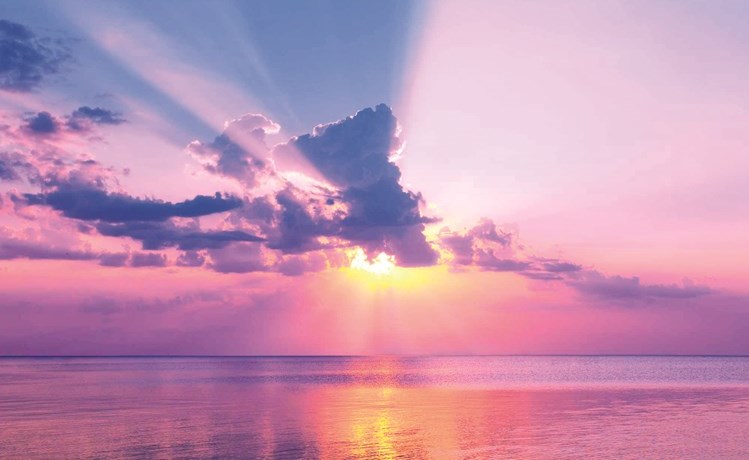 وصف الصورة