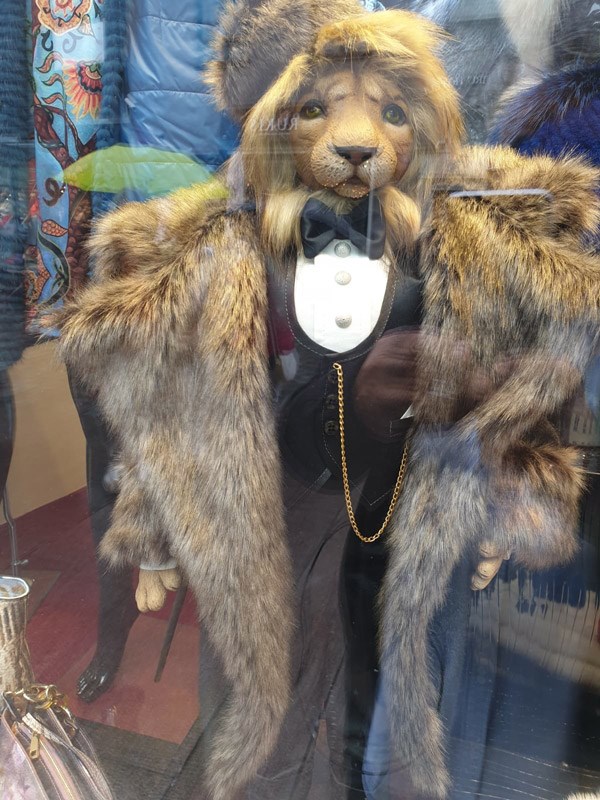وصف الصورة