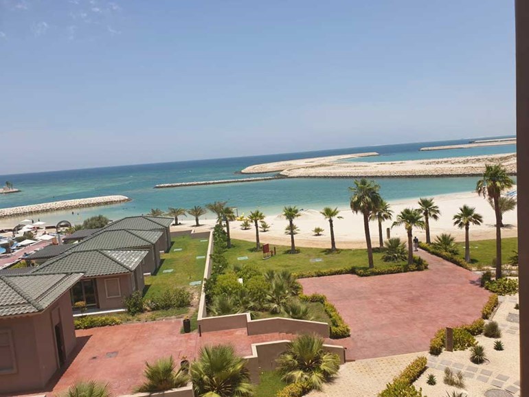 وصف الصورة