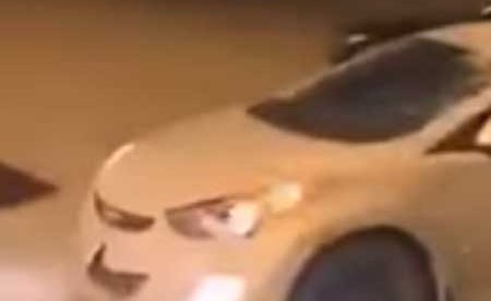 بالفيديو.. بحركة مفاجئة... ناقة تفاجئ قائد سيارة على طريق عام