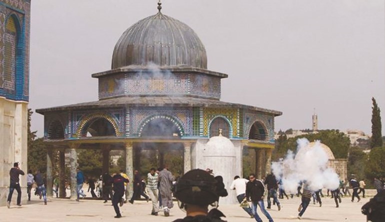 وصف الصورة