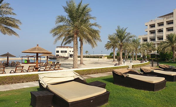 وصف الصورة