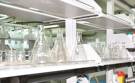 إجراء عمليات الفحص على العينات (قاسم باشا)