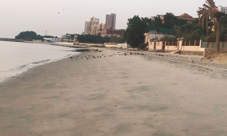 وصف الصورة