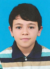 وصف الصورة