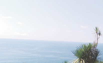 وصف الصورة
