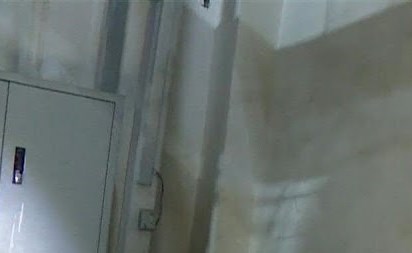 محقق خاص في الصين للعثور على الحيوانات المفقودة