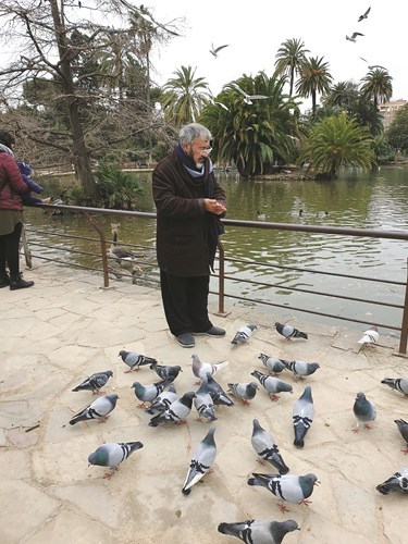 وصف الصورة