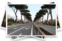 كورونا يتجول وحيدا في شوارع العالم