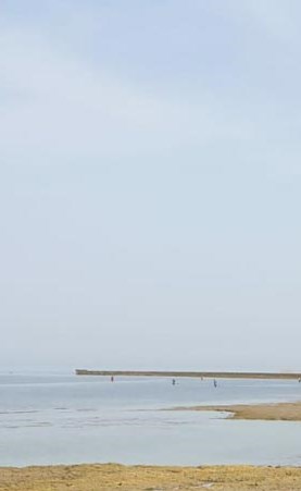 وصف الصورة