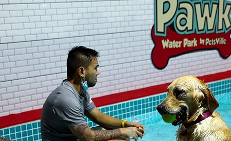 افتتاح أول حديقة مائية للكلاب في دبي