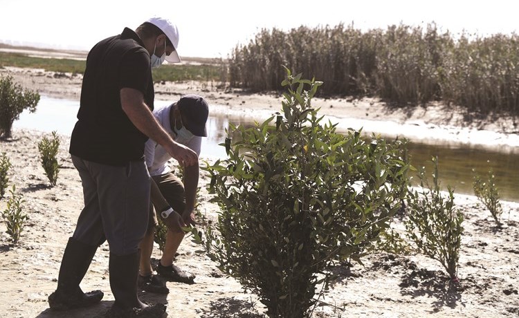 الشيخ عبدالله الأحمد ود.عبدالله زيدان يطلعان على النباتات التي تمت زراعتها في المرحلة الأولى