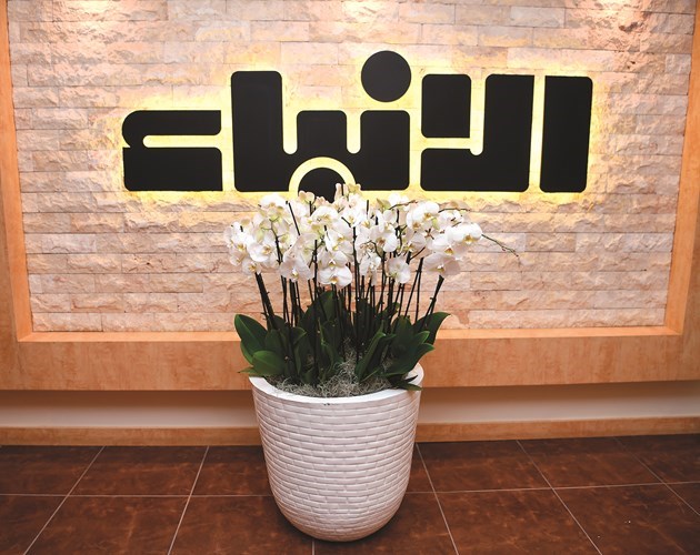 وصف الصورة