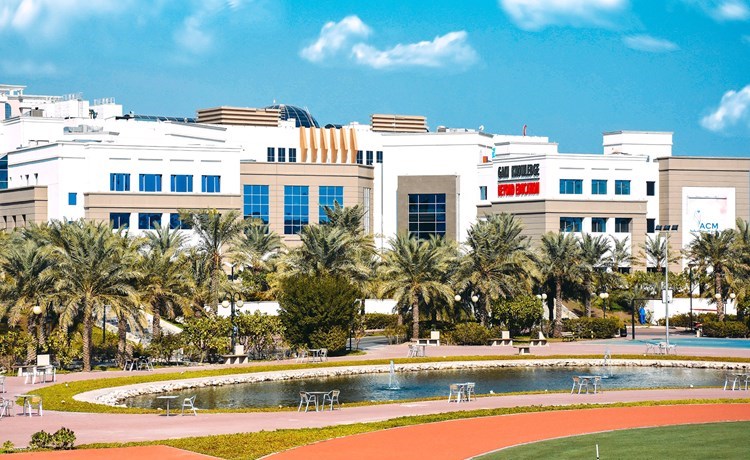 وصف الصورة