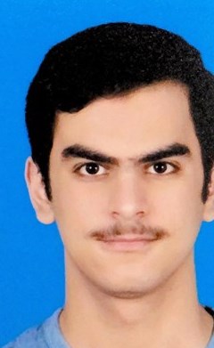 وصف الصورة