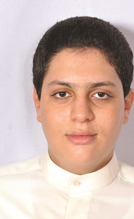 وصف الصورة