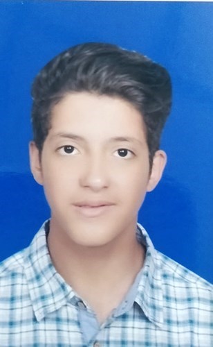 وصف الصورة
