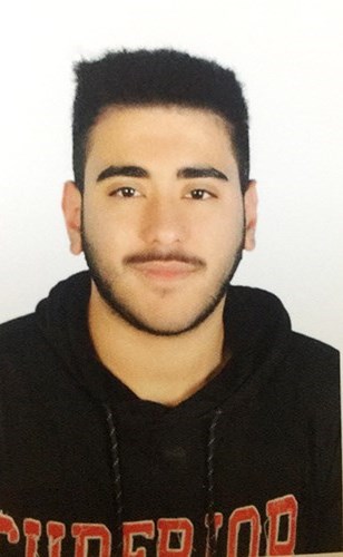 وصف الصورة