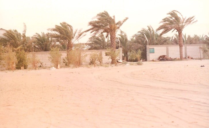 وصف الصورة