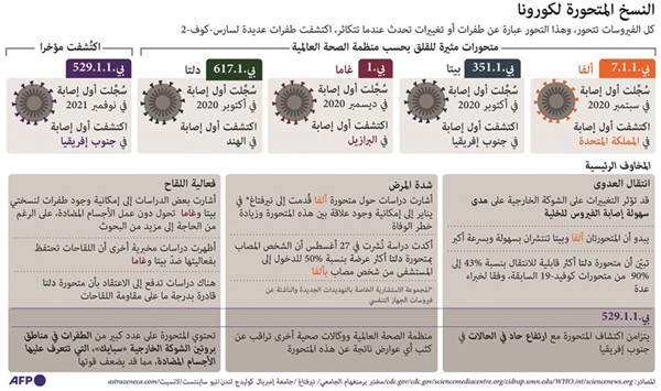 وصف الصورة