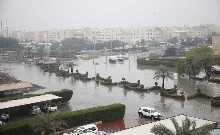 وصف الصورة