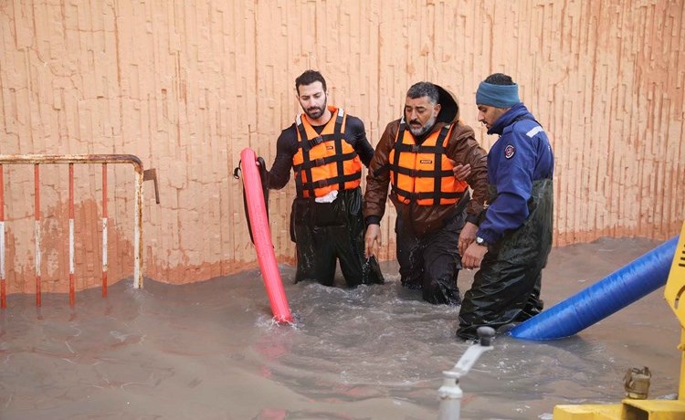 وصف الصورة
