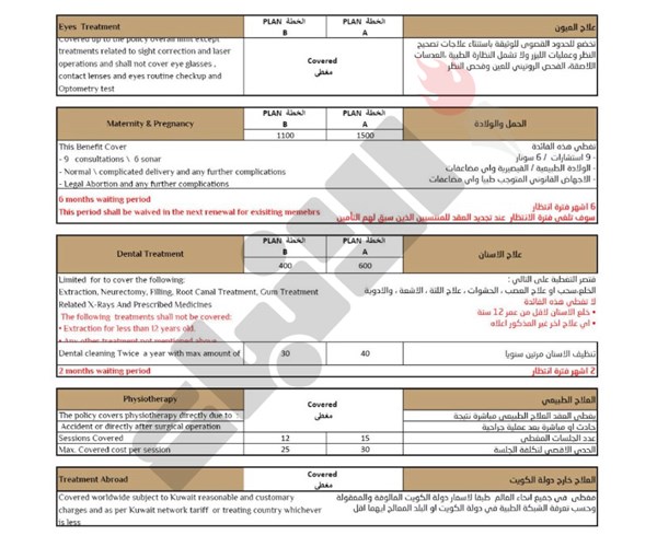 وصف الصورة