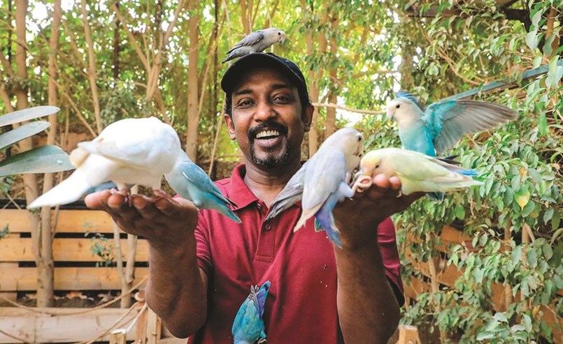 سوداني يحول فناء منزله إلى محمية طبيعية للطيور
