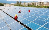 الصين تدرس حظر إقامة محطات طاقة شمسية فوق الأراضي الزراعية