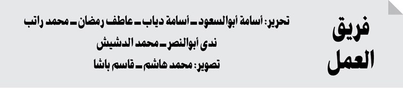 وصف الصورة
