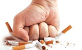اقتراح حظر منتجات التبغ المنكه في أوروبا