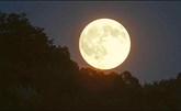 معهد الفلك:ظهور"القمر العملاق" الجمعة سيحجب رؤية عدد كبير من شهب "البرشاويات "