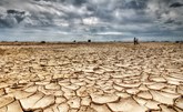 الجفاف... خطر يتهدد مستقبل الحدائق الإنكليزية التقليدية