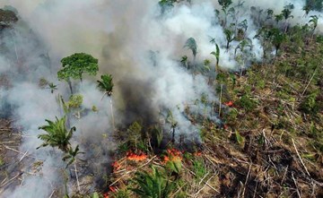 «الأمازون» البرازيلية تشهد أسوأ حرائق منذ 12 عاماً