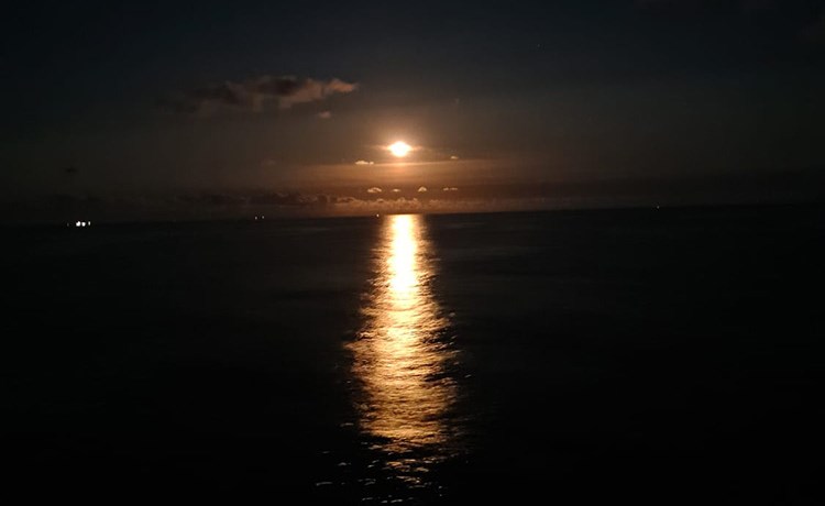 وصف الصورة