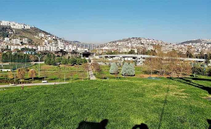 وصف الصورة