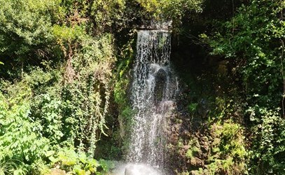 وصف الصورة