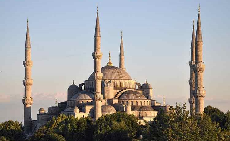 وصف الصورة
