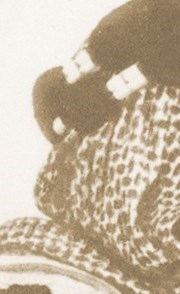 وصف الصورة